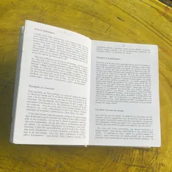 DICTIONNAIRE DES SYNONYMES- LES DICOS D’OR 697196