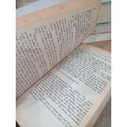 Dark paradise - Tami Hoag 704110