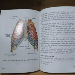 Giản Yếu Giải Phẫu Người (Nxb Y Học 2006) 1031447