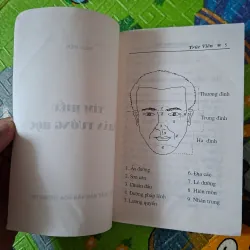 Tìm Hiểu Nhân Tướng Học 1031755
