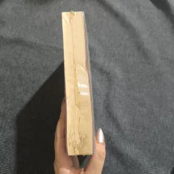 Pháp sư (The Magician) - Bí mật của Nicholas Flamel bất tử (seal rách) - Michael Scott 752840