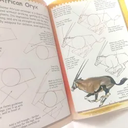 I Can Draw Wild Animals 1002086