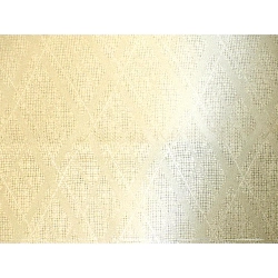 Áo khoác thời trang - Hàng hiệu Authentic 877623