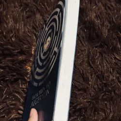 Hoa trên mộ Algernon 1023522