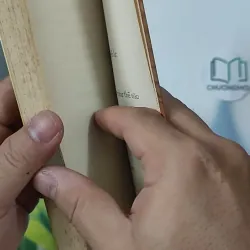 Con Chó Nhỏ Mang Giỏ Hoa Hồng - Nguyễn Nhật Ánh 798346