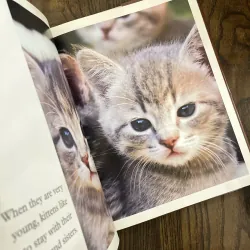 ✨𝑲𝒊𝒕𝒕𝒆𝒏𝒔✨ 693154