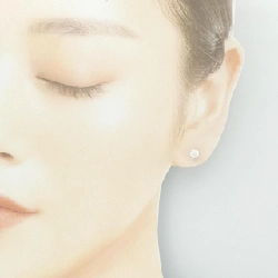 PT900/ST Bông tai kim cương 0.271CT 0.279CT D VS1-2 3EXT-EXT H&C - Hàng hiệu Chính hãng 874699