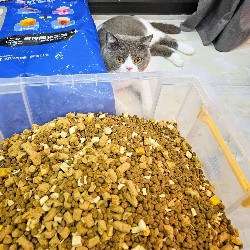 Hạt Thức Ăn Cho Mèo Topping Mix - Gói Nguyên Bao Bì 1,5kg 46035