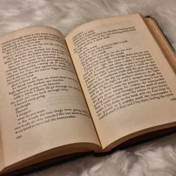 William Faulkner - The Sound and The Fury 783193