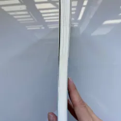 Cá Hồi - Travel Blogger Tâm Bùi, đã qua sử dụng 736800