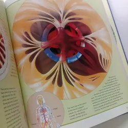 The Incredible Journey Through the Human Body 1002083