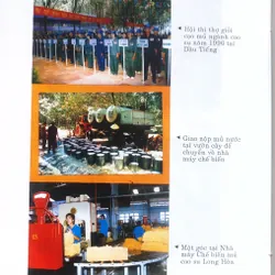 LỊCH SỬ PHONG TRÀO CÔNG NHÂN Dầu TIẾNG  562389