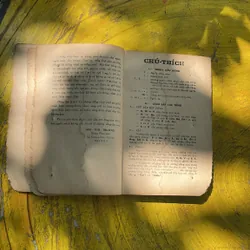 ĐỒNG ÂM DẪN GIẢI VÀ MẸO LUẬT CHÍNH TẢ- TRẦN VĂN THANH 713223