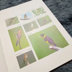 Các loài chim Việt Nam (Bản đặc biệt) 736163