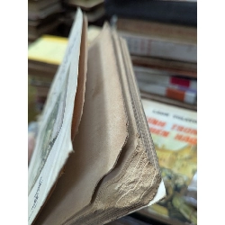 Quân vương thuật trị dân - Machiavel ( bản dịch phan Huy Chiêm ) 380791