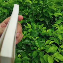 Việt Nam thảm kịch Đông Dương  1000291