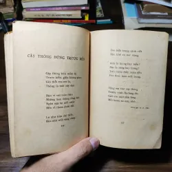 Hai Đợt Sóng - Xuân Diệu 1021258