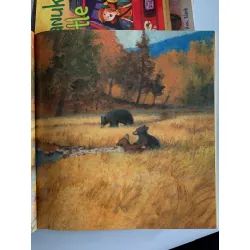 Shh! Bears Sleeping – David Martin 561133