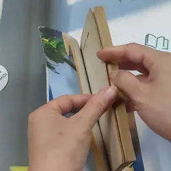 Bộ Duyên Kỳ Ngộ 1,2 - Thư Thư 776030