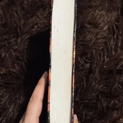 Rừng xanh lá đỏ 1001641