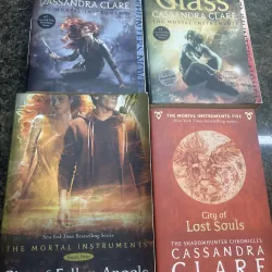 City of ashes, city of glass, city of fallen angels, city of lost souls Cassandra Clare