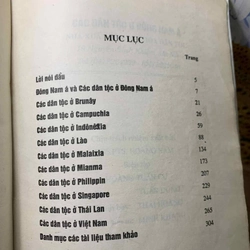 Các Dân Tộc Ở Đông Nam Á 539859