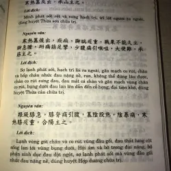 CHÂM CỨU GIÁP ẤT KINH 970728