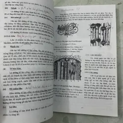 Thực vật học 1013075