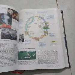 Sinh học Campbell 972269