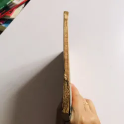 PHỤ HUYNH NÊN BIẾT KHI CHO CON EM ĐI HỌC 1957 795532