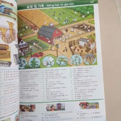 Nâng cao vốn từ vựng tiếng Hàn theo chủ đề bằng hình ảnh 653609