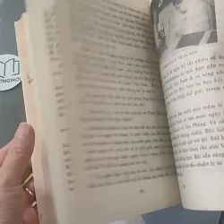 Dạ, Thưa Thầy - Phan Hoàng 928525