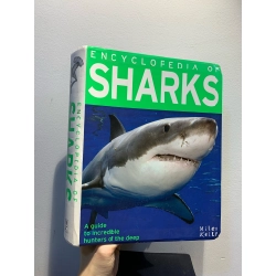 ENCYCLOPEDIA OF SHARKS: A Guide to Incredible Hunters of the Deep - Miles Kelly 273110