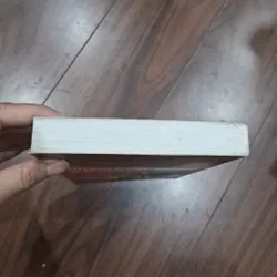 Băng tuyết mỹ nhân 717714