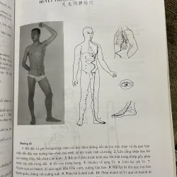 Học châm cứu bằng hình ảnh- sách y khổ lớn - Lý Quý Ngưu  933855