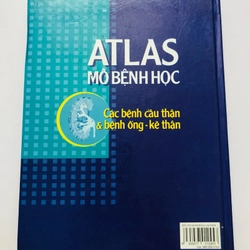 ATLAS MÔ BỆNH HỌC CÁC BỆNH CẦU THẬN & BỆNH ỐNG - KẼ THẬN 305949