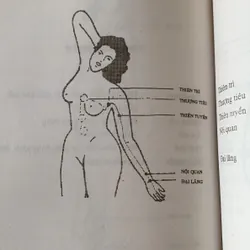 Nhân điện những phát hiện và ứng dụng, Nguyễn Đình Phư 703684