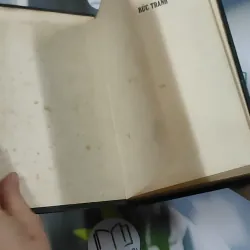 Bức Tranh - Đanhin Granhin 750804