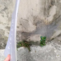 Toan ( Canvas ) vựng tập hội họa  1006127