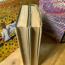 Nikolai Gogol - A Selection (trọn bộ 2 tập) 540392