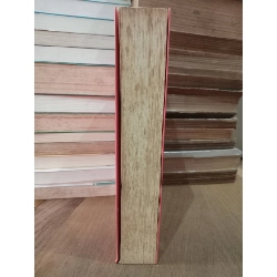 Từng có một người yêu tôi như sinh mệnh - Thư Nghi 191864