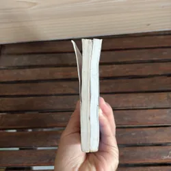 II Cẩm Nang Du Lịch: Sapa Trữ Tình + Mũi Né, Hòn Rơm, Phan Thiết - Phạm Côn Sơn - 2010 718574