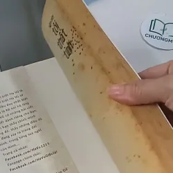 Hôm Nay Tôi Thất Tình - Hạ Vũ 705592