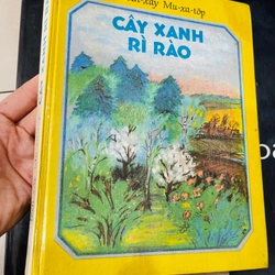 Cây Xanh Rì Rào- nxb Cầu Vồng 279032