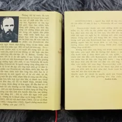 Anh em nhà Karamazov 594462