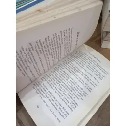 The Folk of the Faraway Tree - Enid Blyton 704060