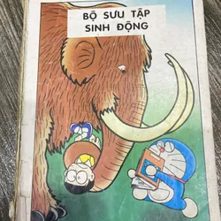 BỘ SƯU TẬP SINH ĐỘNG**TẶNG QUÀ 0Đ + FREESHIP