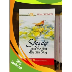 (TẶNG BOOKMARK) Sống đẹp giữa thế gian đầu biến động - Pema Chodron KHOA HỌC ĐỜI SỐNG RBK0810