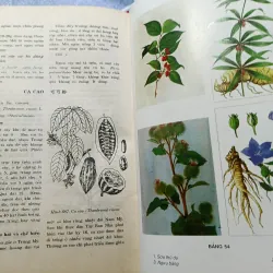 Những cây thuốc và vị thuốc Việt Nam - Dỗ Tất Lợi 974150