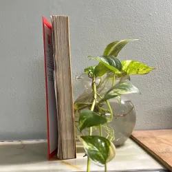 Năm mươi mười lăm hai mươi / Nguyễn Vĩnh Nguyên 750733